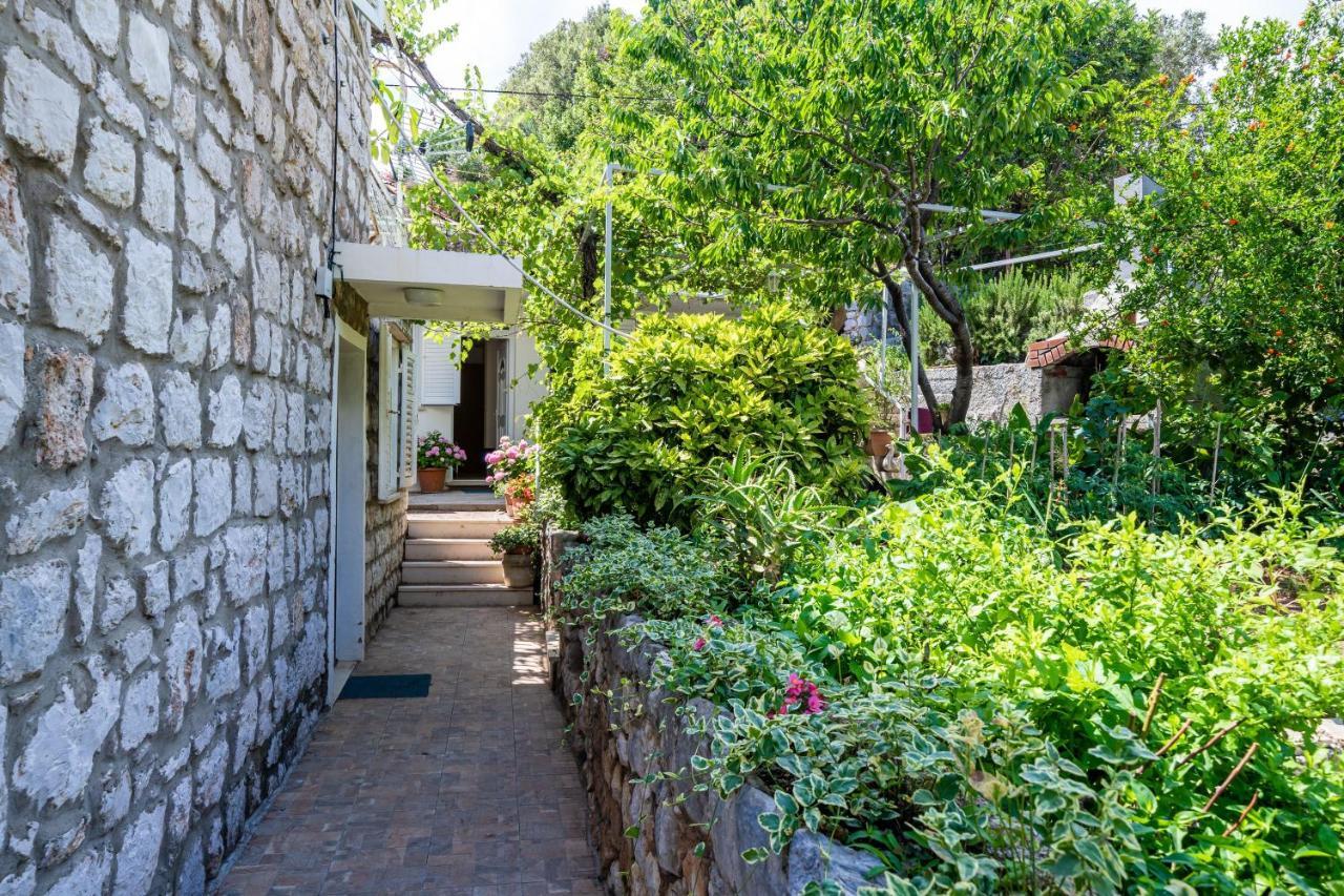 דוברובניק Apartments Zarac מראה חיצוני תמונה