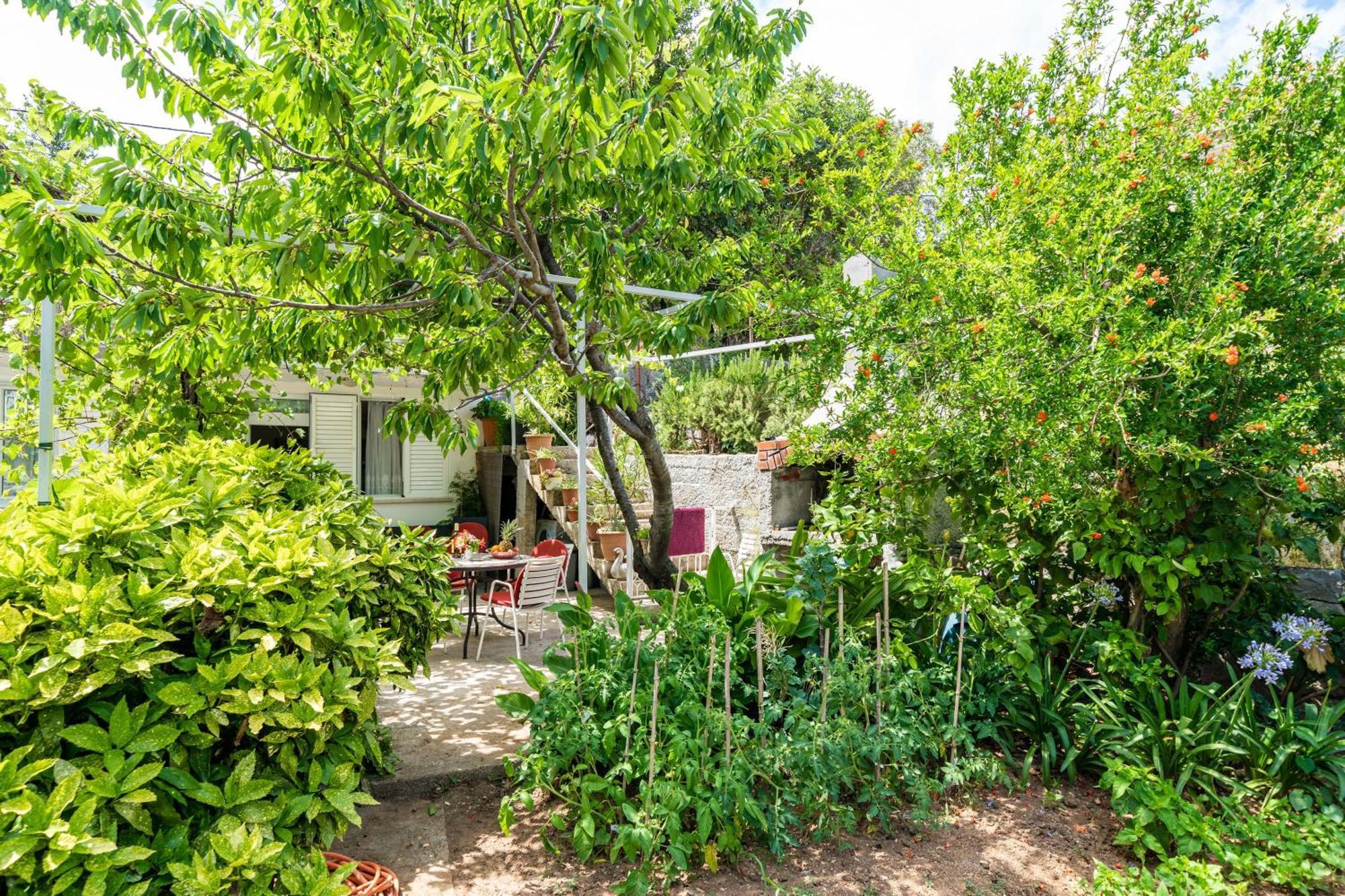 דוברובניק Apartments Zarac חדר תמונה